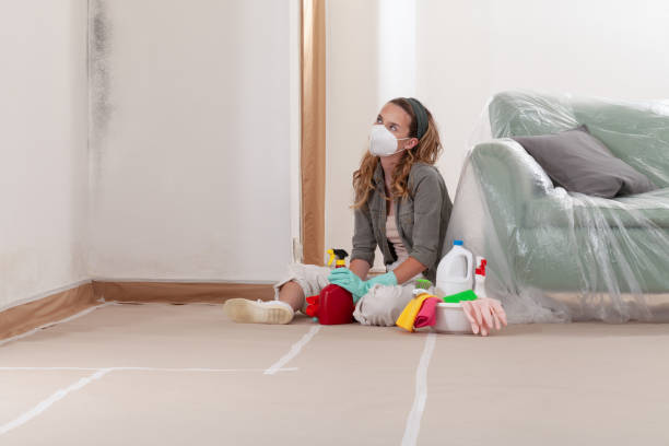Reliable Mold Inspection contractor in Deal, NJ by WQB Mold Removal
